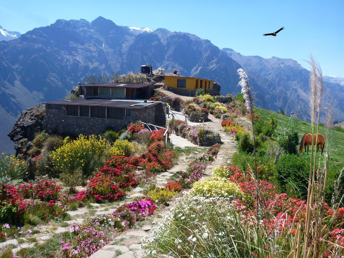 Villa La Granja Del Colca à Cabanaconde Extérieur photo