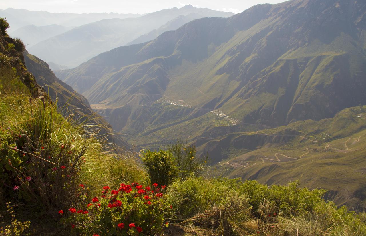 Villa La Granja Del Colca à Cabanaconde Extérieur photo