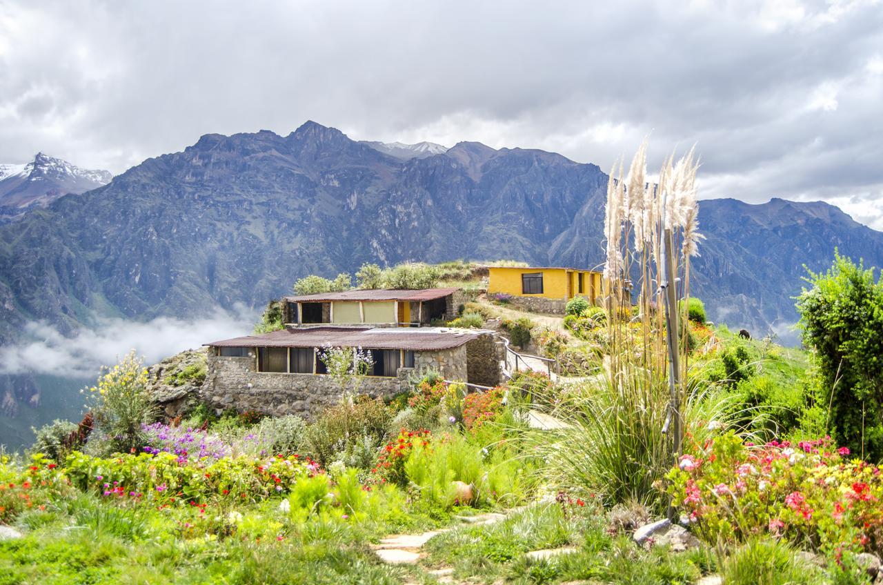 Villa La Granja Del Colca à Cabanaconde Extérieur photo